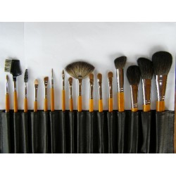 Trusa pensule profesionale 5